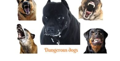 Listado de razas de perros peligrosos
